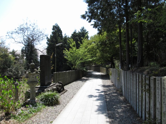 t07_106.jpg
