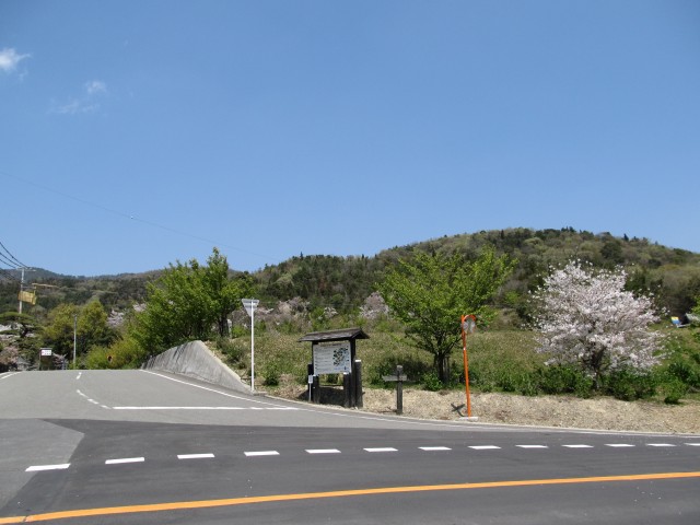 t07_113.jpg