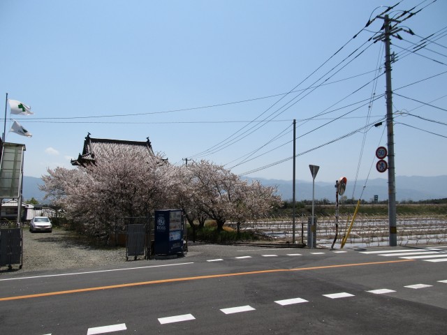 t07_115.jpg