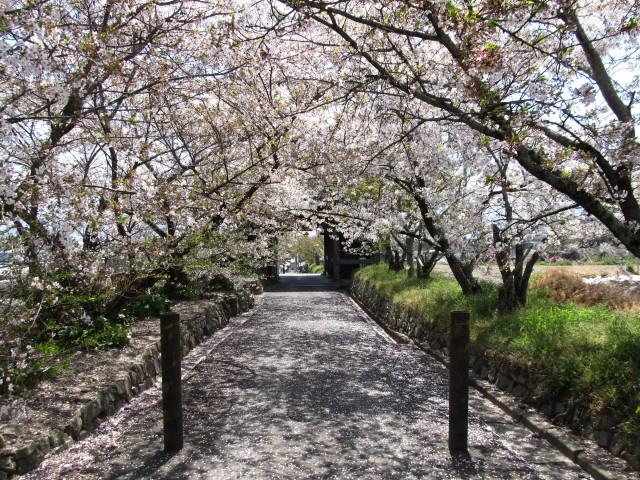 t07_116.jpg