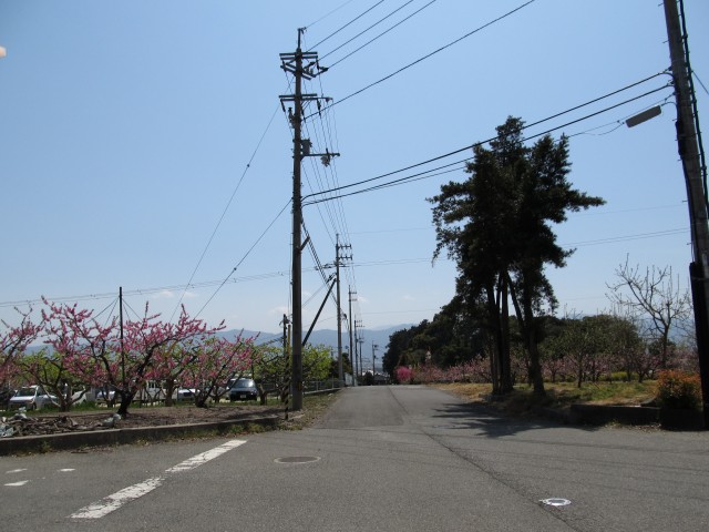 t07_121.jpg