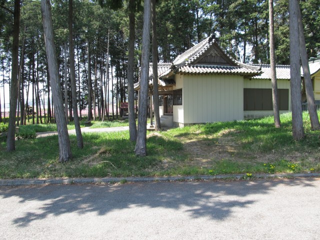 t07_122.jpg