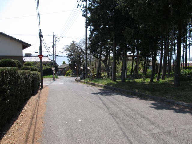 t07_123.jpg