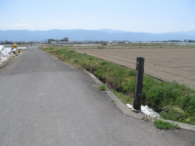 t07_130.jpg
