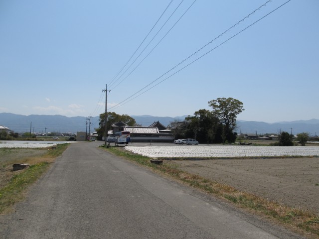 t07_131.jpg