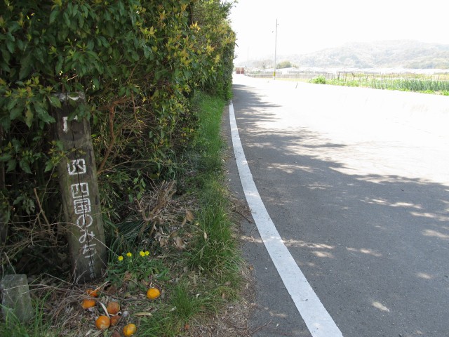 t07_135.jpg