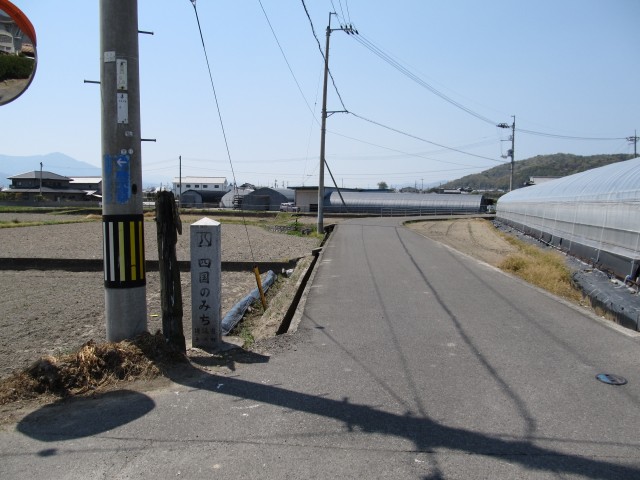 t07_142.jpg
