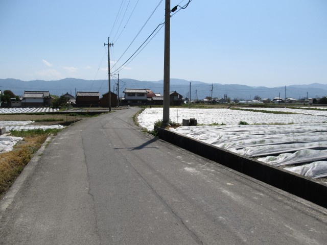 t07_148.jpg