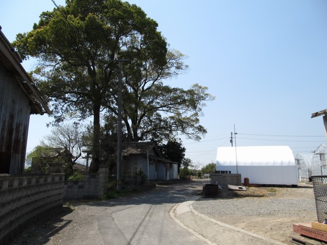 t07_154.jpg