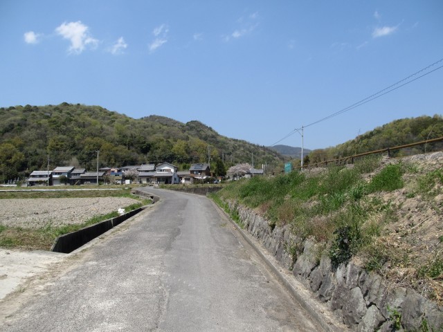 t07_158.jpg