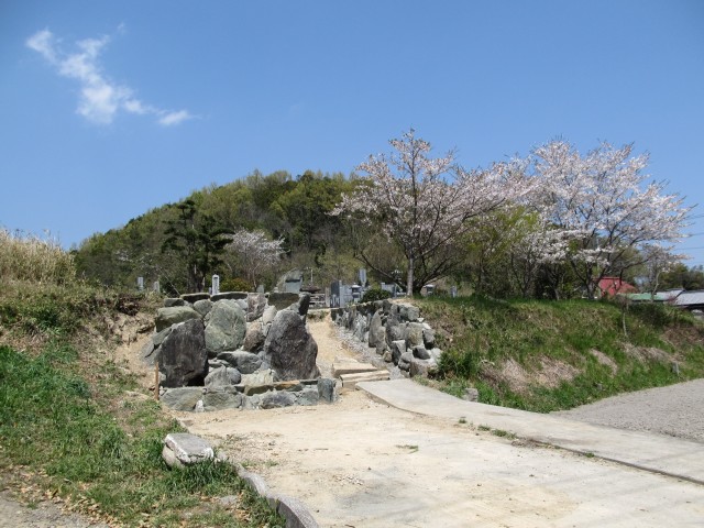t07_160.jpg