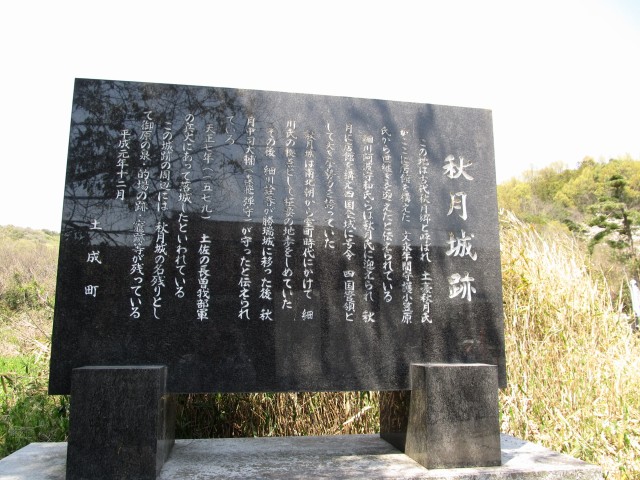 t07_161.jpg