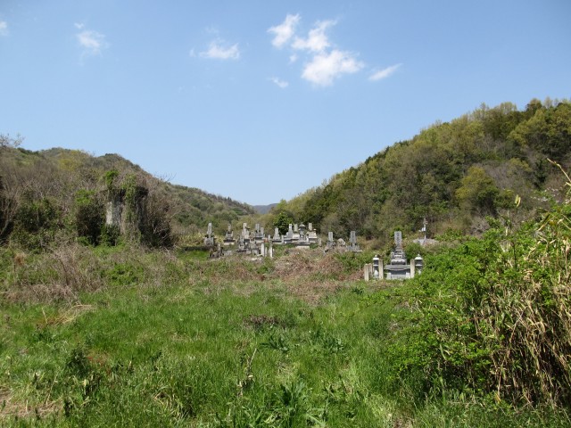 t07_162.jpg