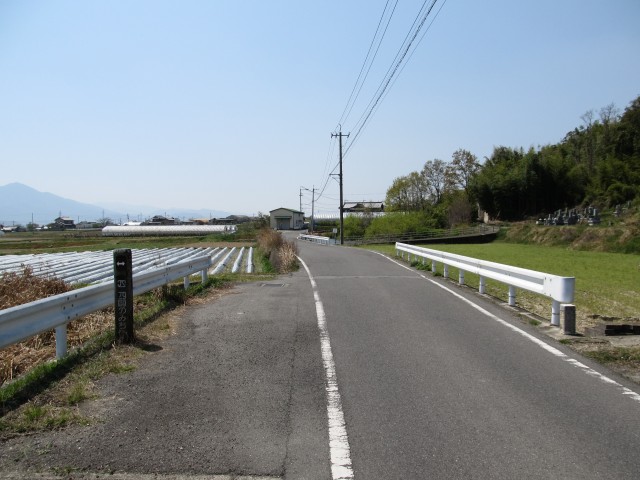 t07_165.jpg