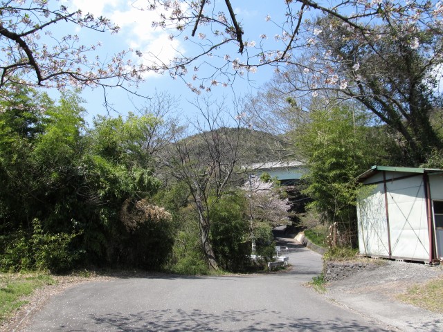 t07_175.jpg