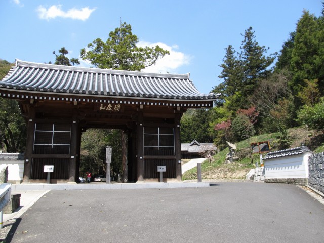 t07_177.jpg