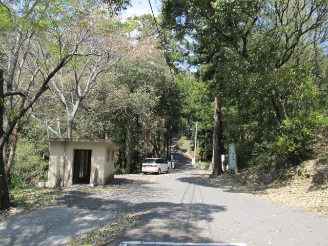 t07_180.jpg