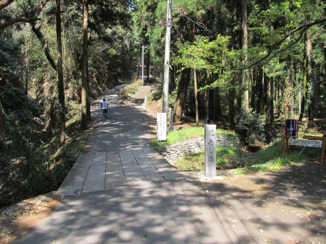 t07_181.jpg