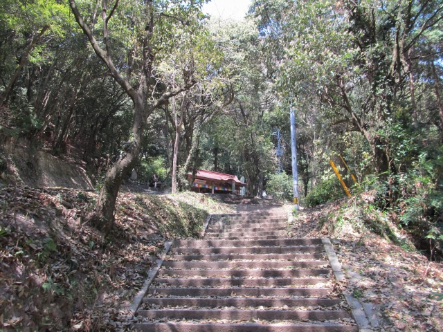 t07_182.jpg