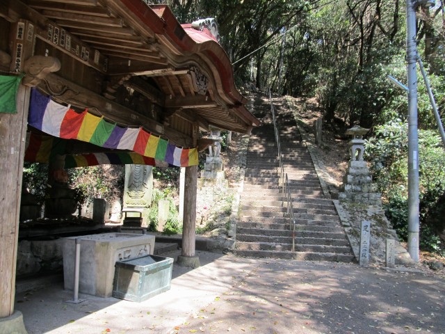 t07_183.jpg