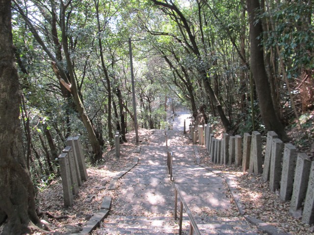 t08_002.jpg