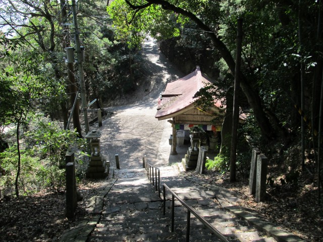 t08_003.jpg