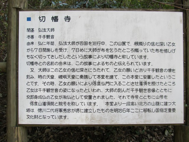 t08_005.jpg