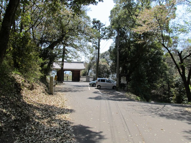 t08_006.jpg