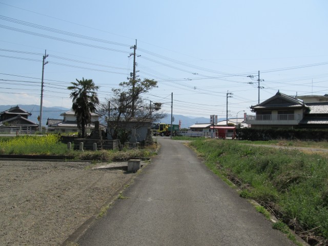 t08_022.jpg