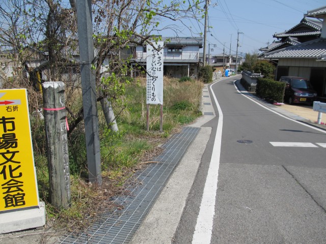t08_023.jpg