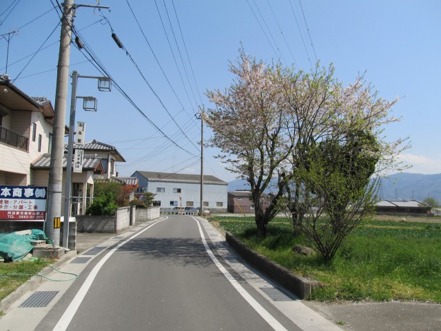 t08_024.jpg