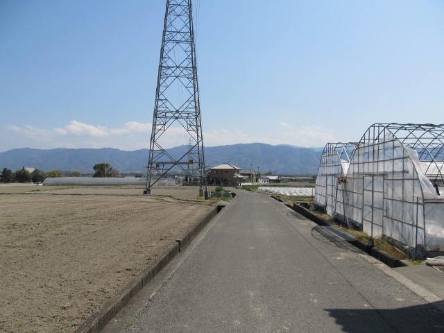 t08_026.jpg