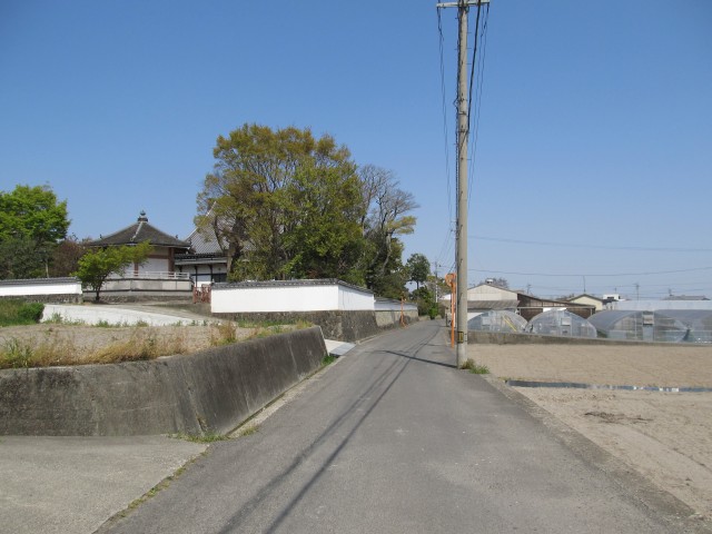 t08_029.jpg