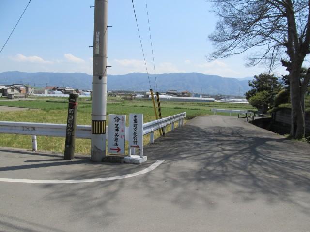 t08_031.jpg