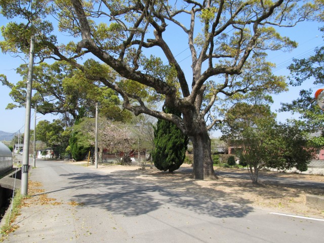 t08_032.jpg