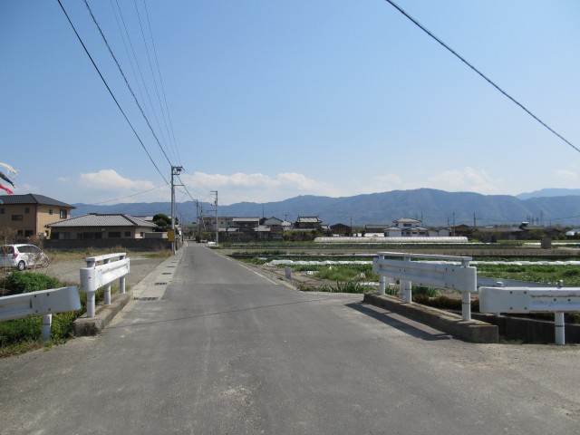 t08_037.jpg
