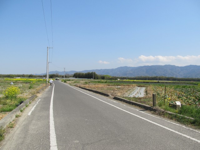 t08_045.jpg