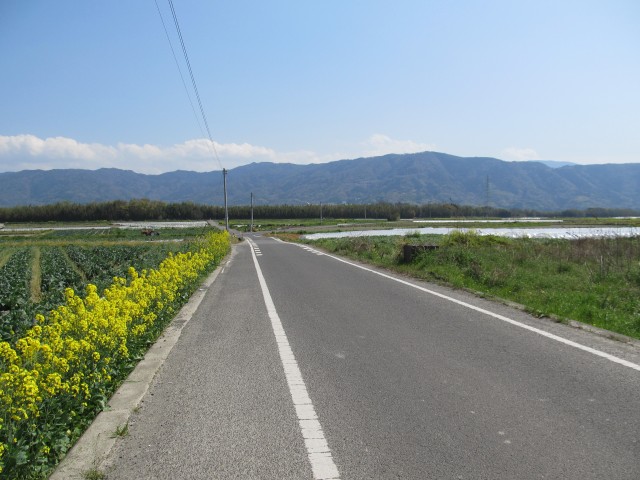 t08_047.jpg