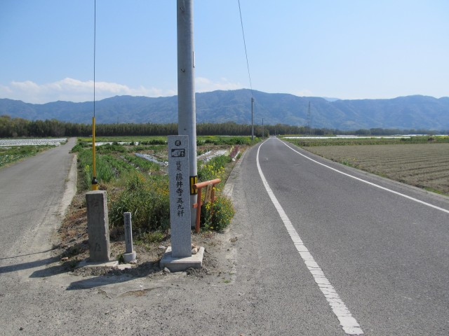 t08_048.jpg