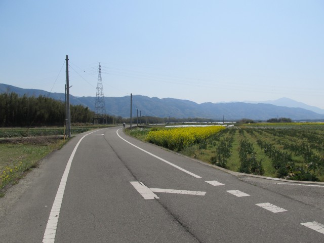 t08_049.jpg