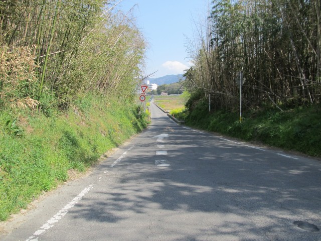 t08_052.jpg