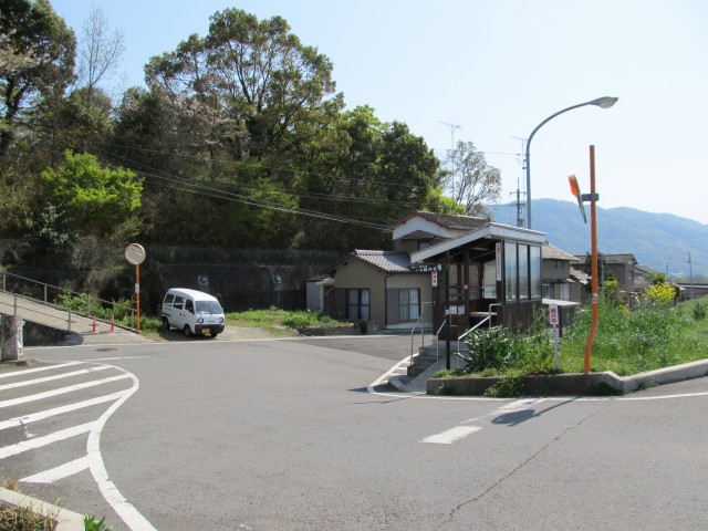 t08_061.jpg