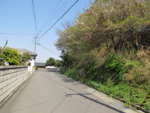 t08_063.jpg