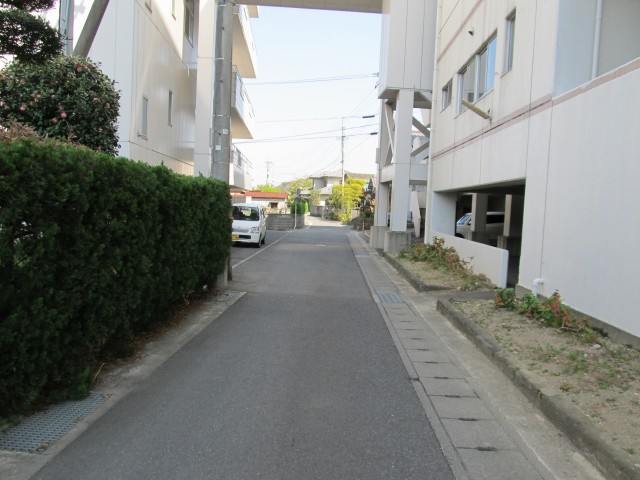 t08_066.jpg