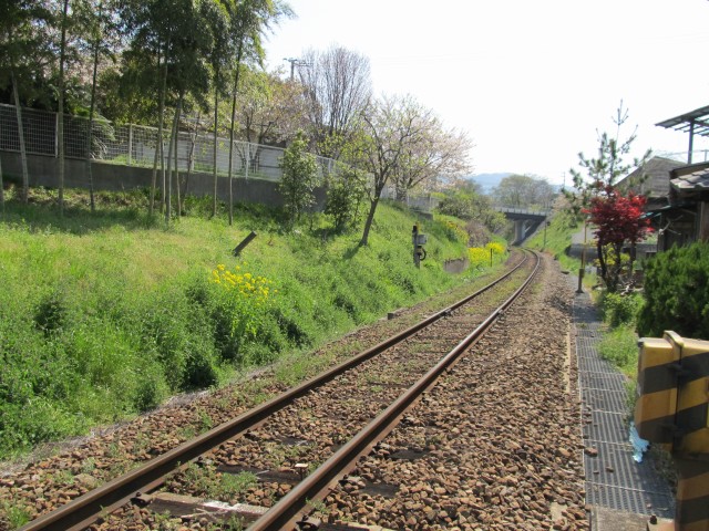 t08_072.jpg