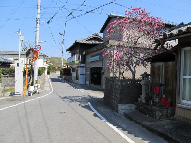 t08_074.jpg