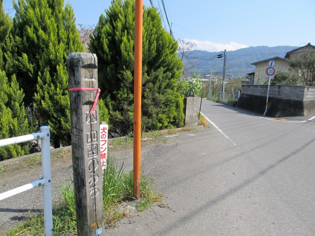 t08_080.jpg