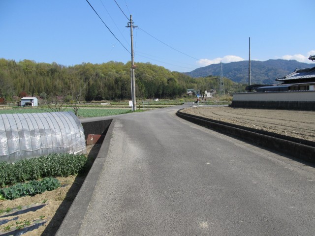 t08_083.jpg