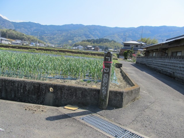 t08_087.jpg