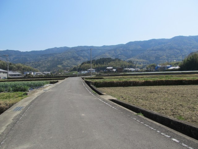 t08_088.jpg